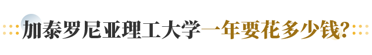 加泰罗尼亚理工大学一年要花多少钱？