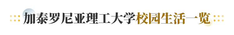 加泰罗尼亚理工大学校园生活一览